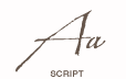 Script