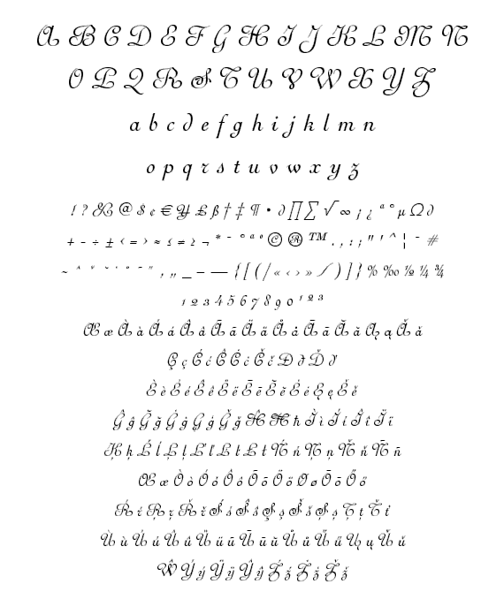 2f36e13b6375