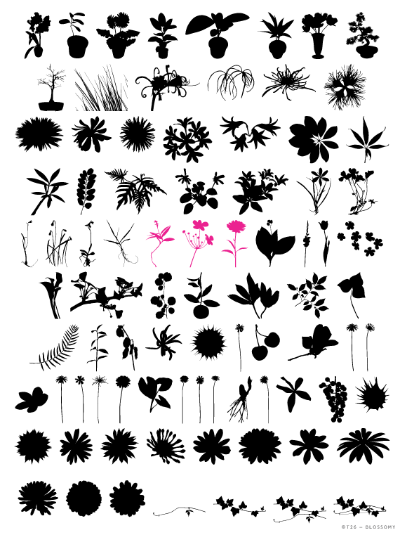 Fdd71c59a1af