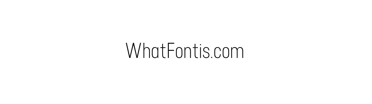 NEUSA Regular