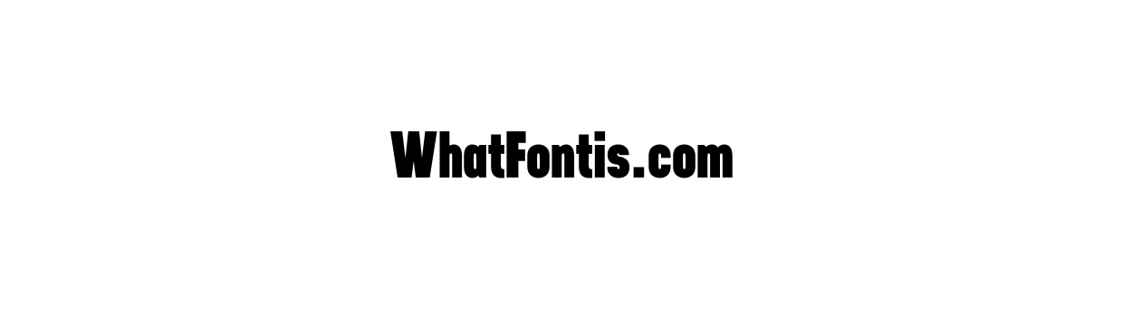 NEUSA Black