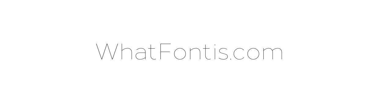 Loew Thin