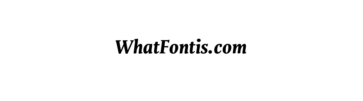 Calisia Heavy Italic