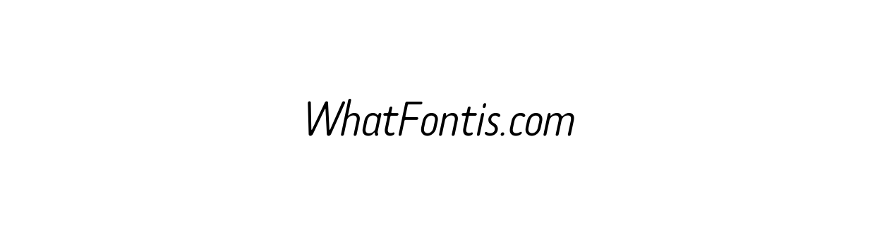 Tar Complete OldStyle LightItalic