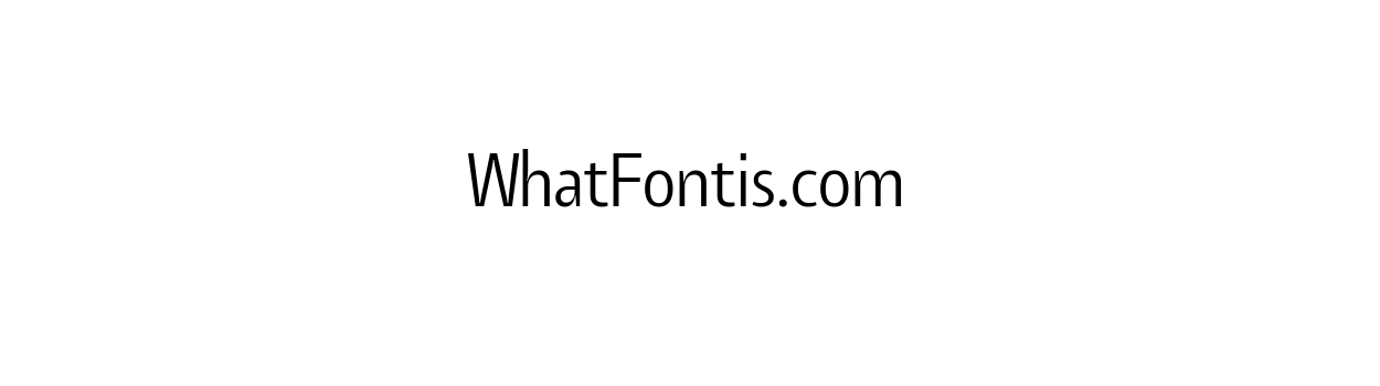 Tang Light