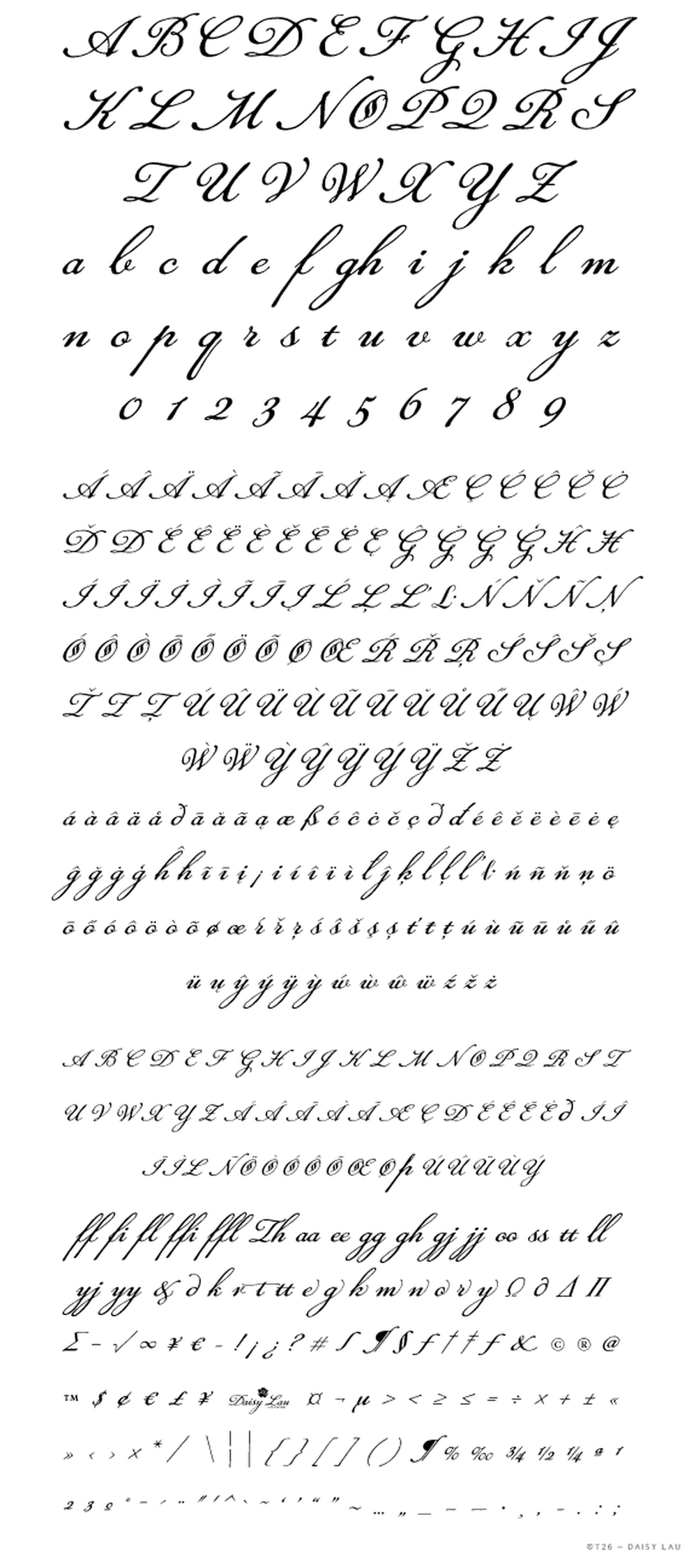 T 26 Digital Type Foundry Fonts Daisy Lau