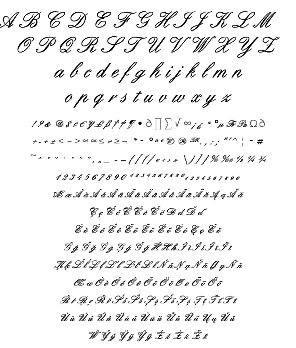 T 26 Digital Type Foundry Fonts Englische Schreibschrift